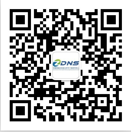 联系我们－DNS整体域名服务专家